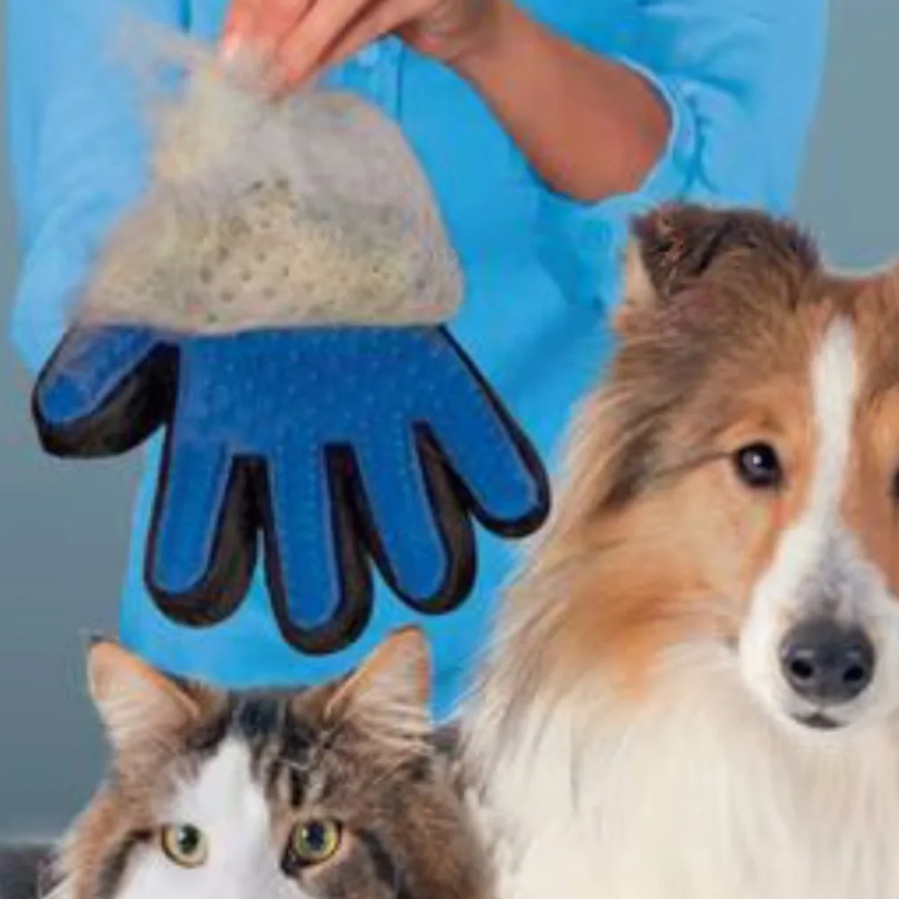 NWOT Pet Brushing Glove
